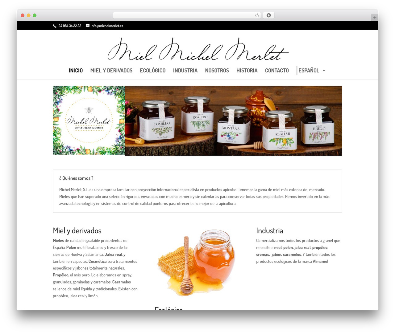 Theme WordPress Divi - michelmerlet.es