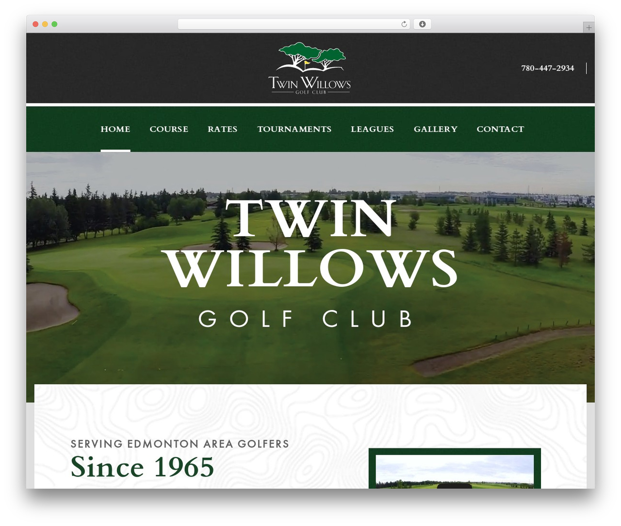 Web3 WordPress theme - twinwillowsgolf.com