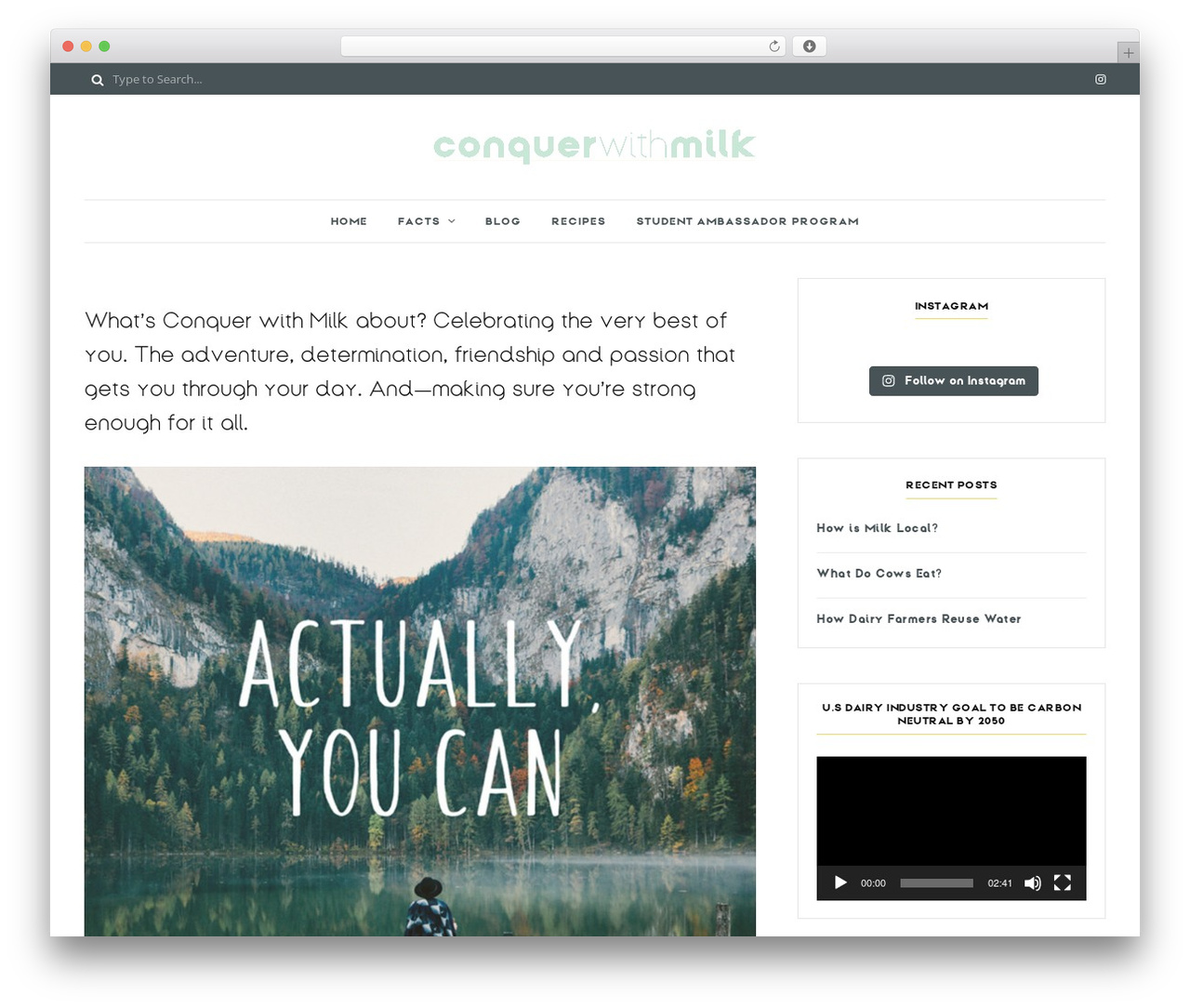 Cuisine WordPress theme - conquerwithmilk.org