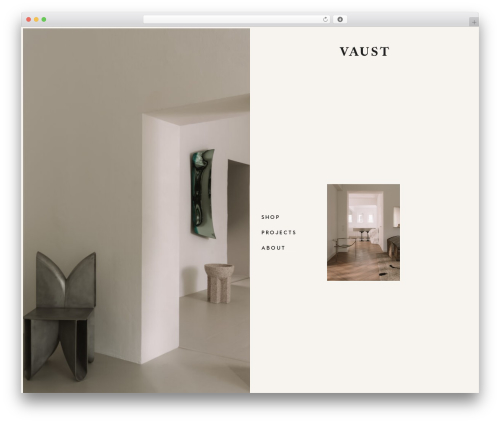 Deploy WordPress theme - vaust.studio