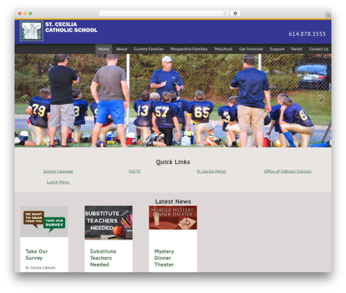 Marcy gallery WordPress plugin - stceciliacolumbus.org