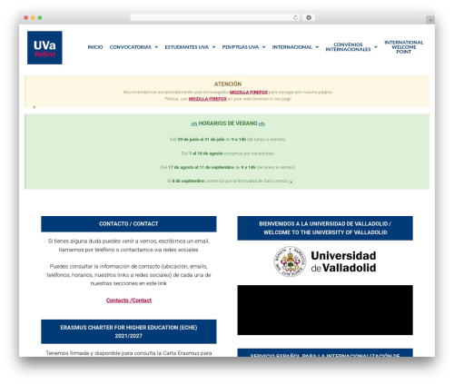 Digitallium WordPress theme - relint.uva.es