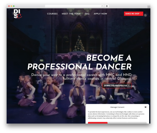 Divi theme WordPress - danceincstudiocentre.com