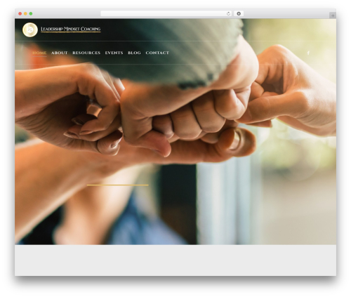 Pixelwars core shortcodes WordPress plugin - myleadershipmindset.com