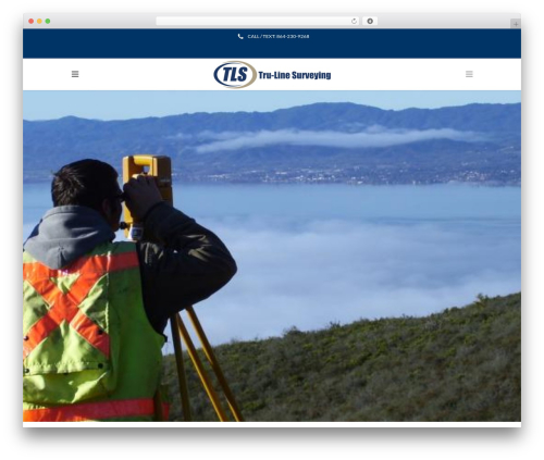 Ninzio addons WordPress plugin - tru-linesurveying.com