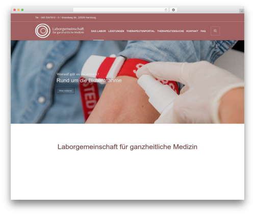 LGM Theme WordPress theme - lgm-hh.de