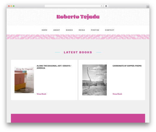Roberto Tejada WP theme - robertotejada.com