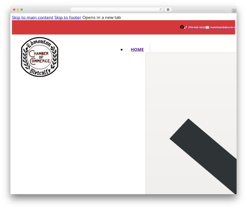 Debug Log Manager (debug-log-manager) free WordPress plugin - metcalfechamber.com