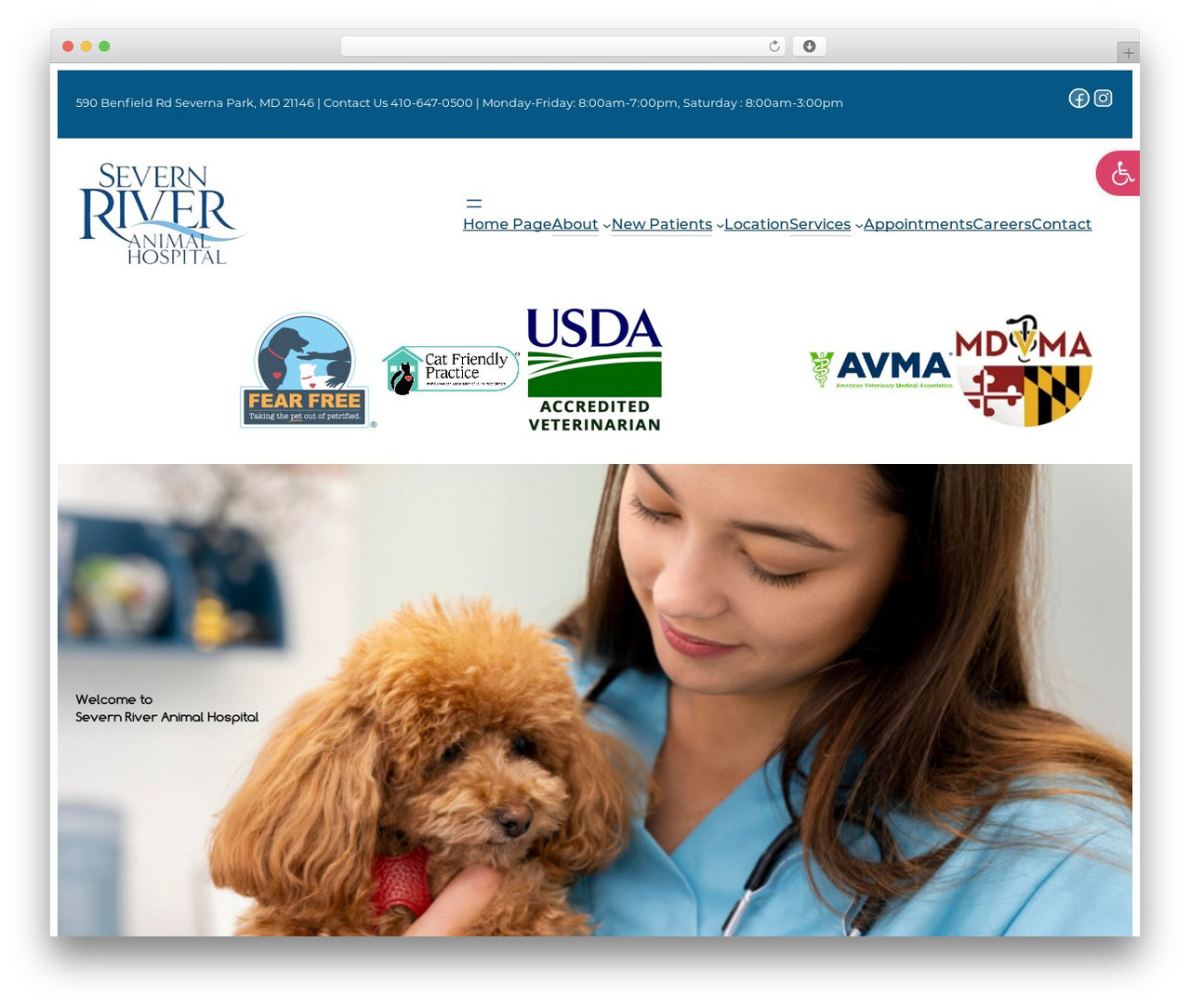 Whimsy WordPress theme - severnriverah.com
