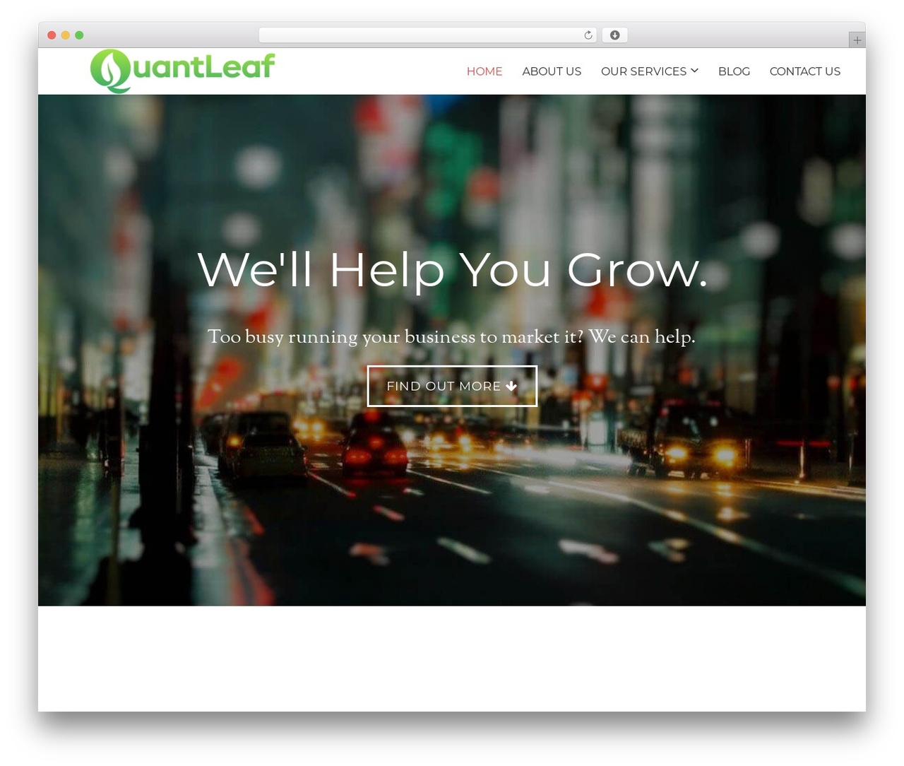 WordPress theme Genesis - quantleafglobal.com