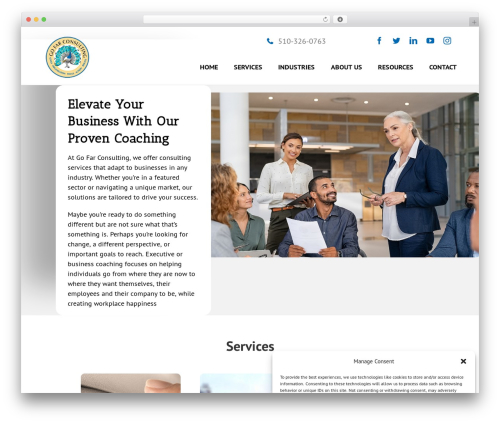 Slick popup pro WordPress plugin - gofarconsulting.com