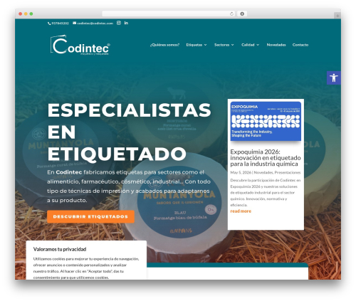 Divi WordPress theme - codintec.com