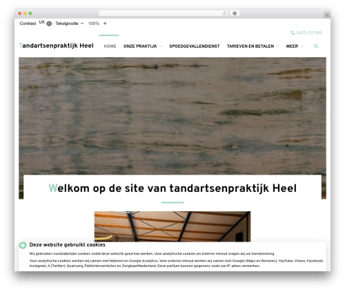 Theme WordPress Flexdesign parent - tandartsenpraktijkheel.nl