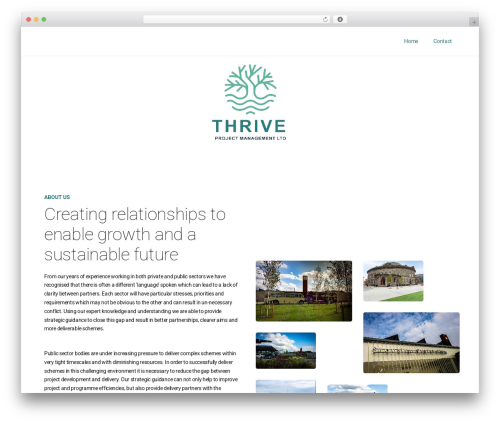WordPress theme Cursornt - thrivepm.co.uk