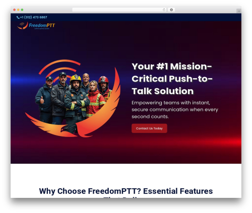 Divi WordPress theme - freedomptt.com