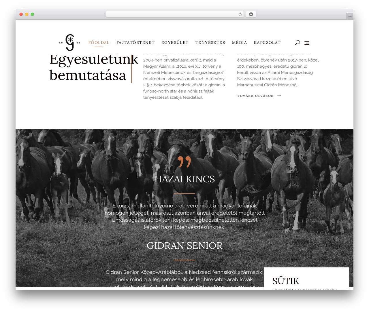 Equine Child WordPress theme - gidranegyesulet.hu Equine Child WordPress theme - gidranegyesulet.hu