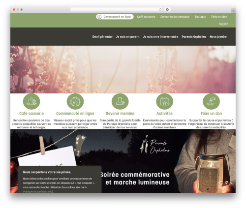 Fluent community WordPress plugin - parentsorphelins.org