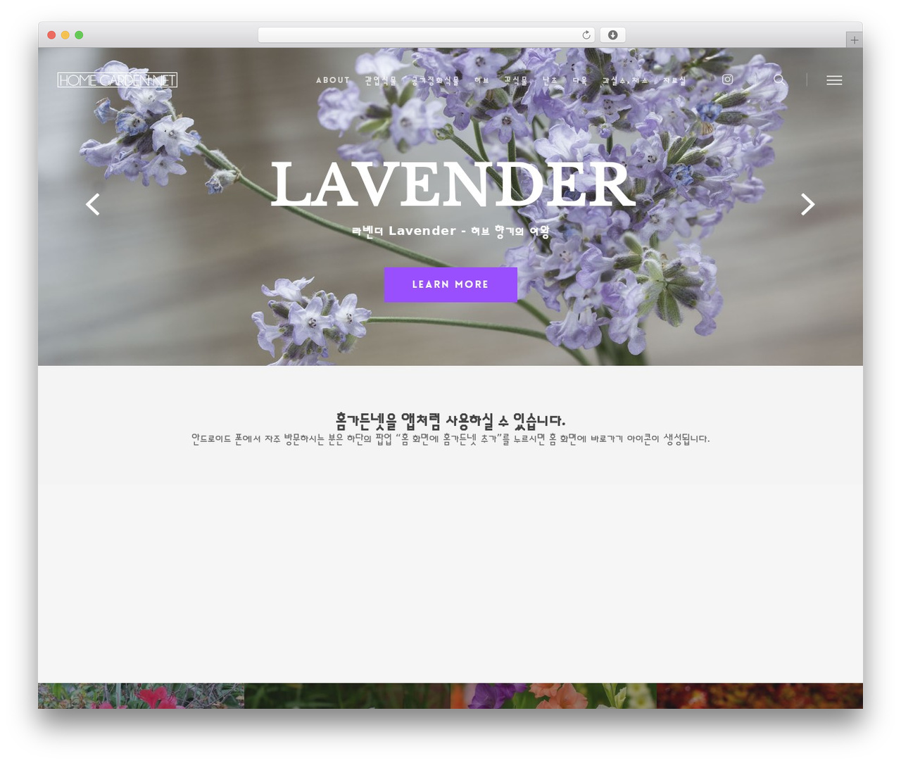 Salient theme WordPress - hgarden.net Salient theme WordPress - hgarden.net