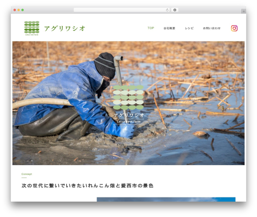 Ruijinen block patterns WordPress plugin - agriwashio.com