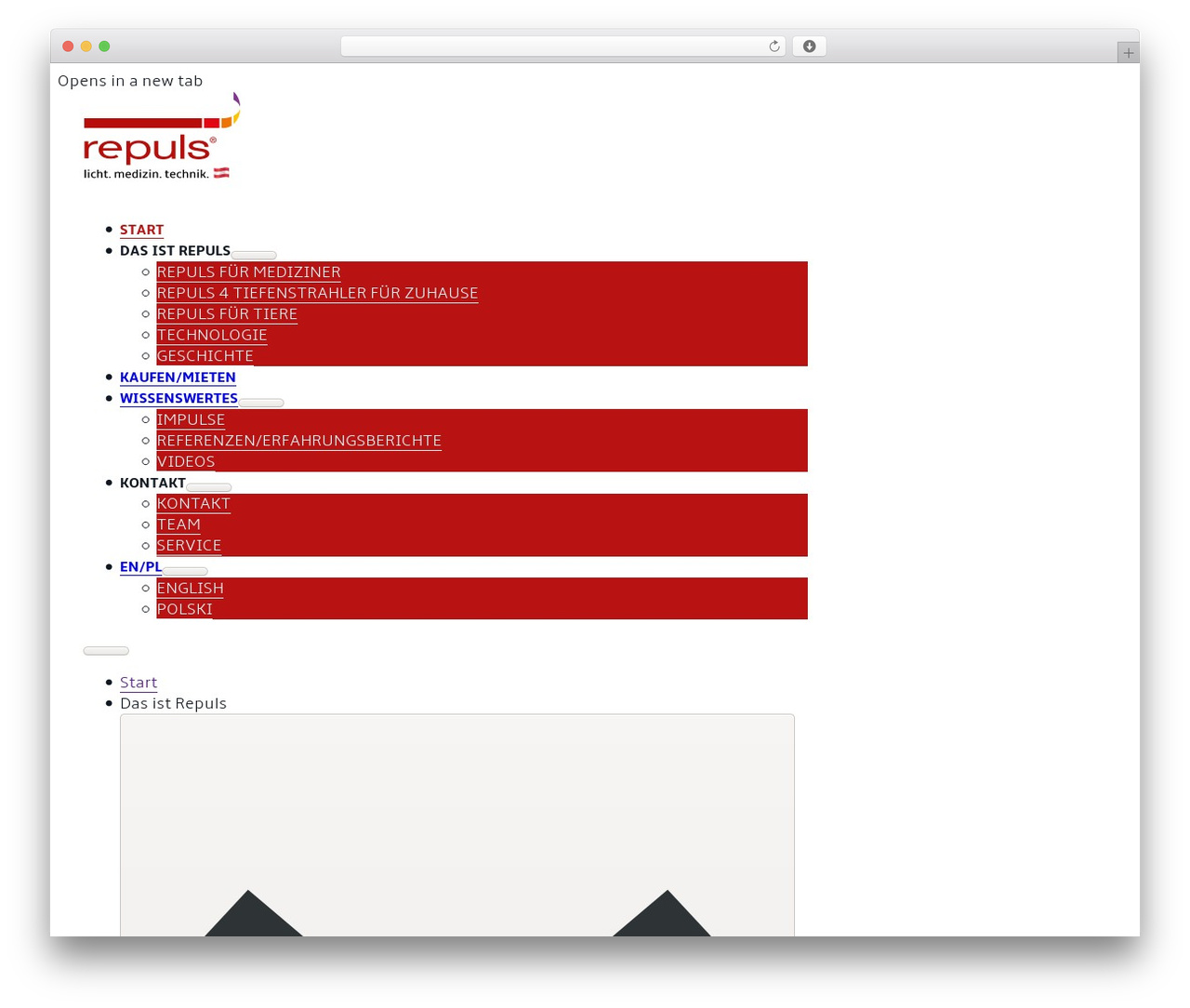 Theme WordPress Bricks - repuls.at Theme WordPress Bricks - repuls.at