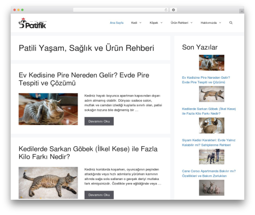 Convert rank math faq to accordion WordPress plugin - www.patifik.com