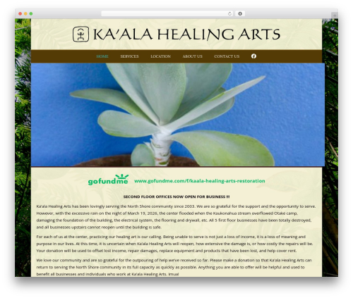 Theme WordPress Beaver Builder Theme - kaalahealingarts.com