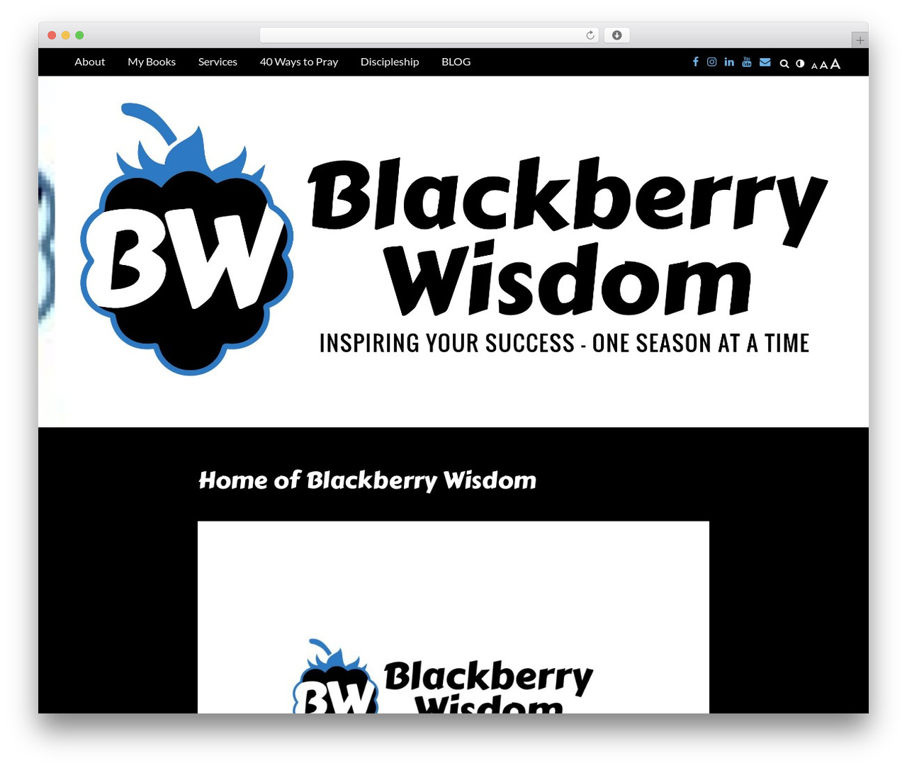 Theme WordPress Writee Pro - blackberrywisdom.com