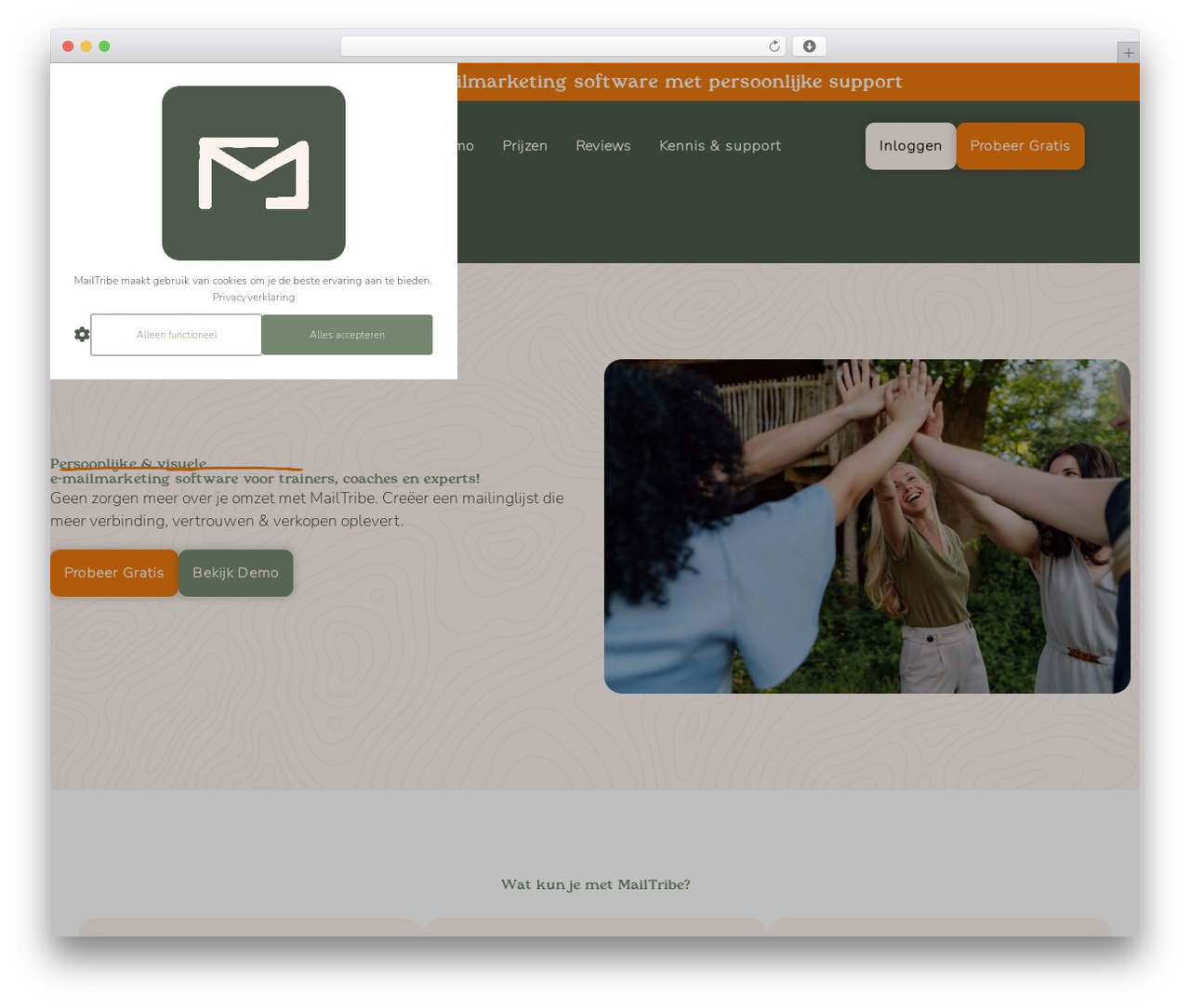 WordPress theme Hello Elementor - mailtribe.nl