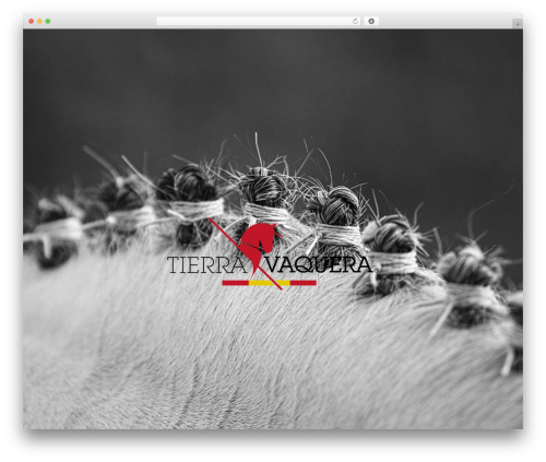 Best WordPress theme Elemix - tierravaquera.com
