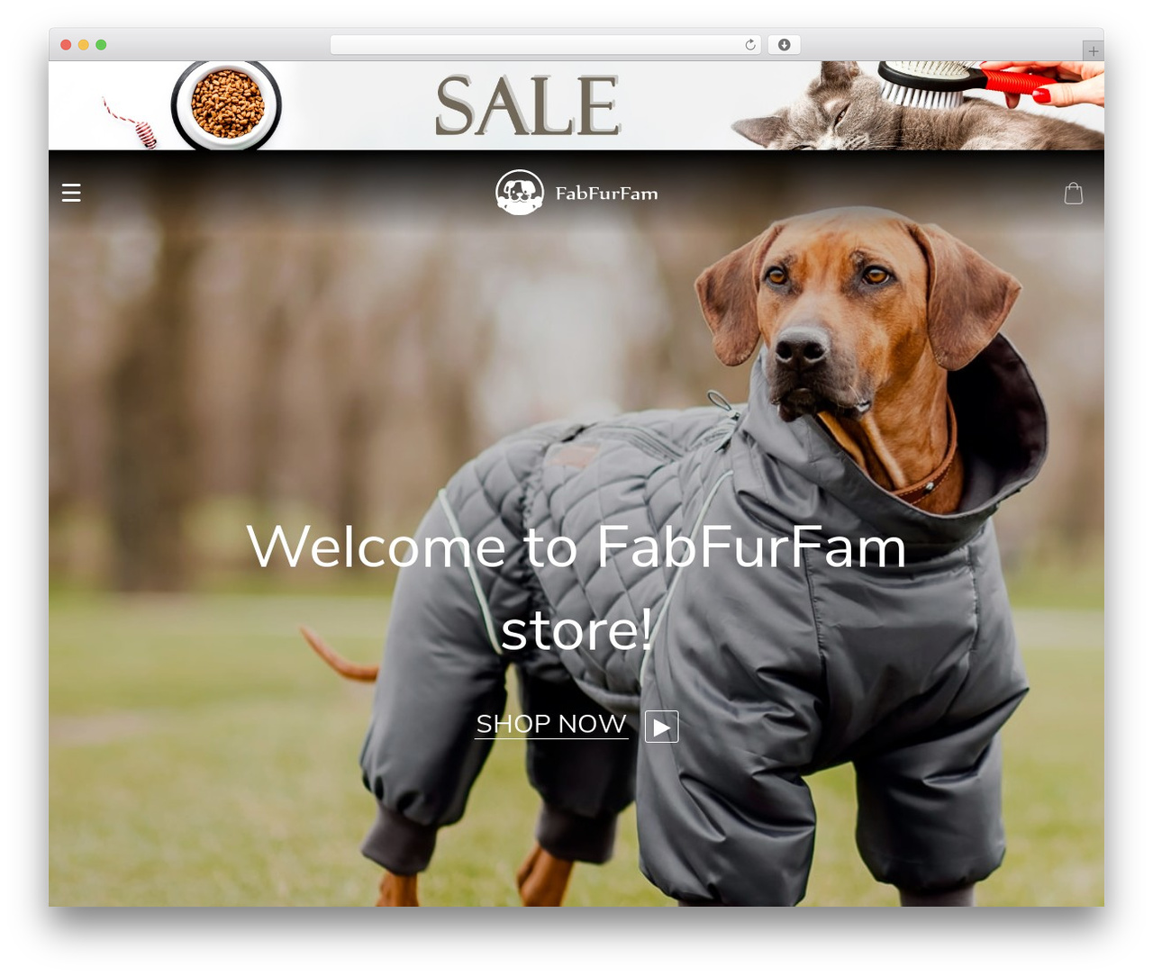Dali WordPress ecommerce theme - fabfurfam.com Dali WordPress ecommerce theme - fabfurfam.com