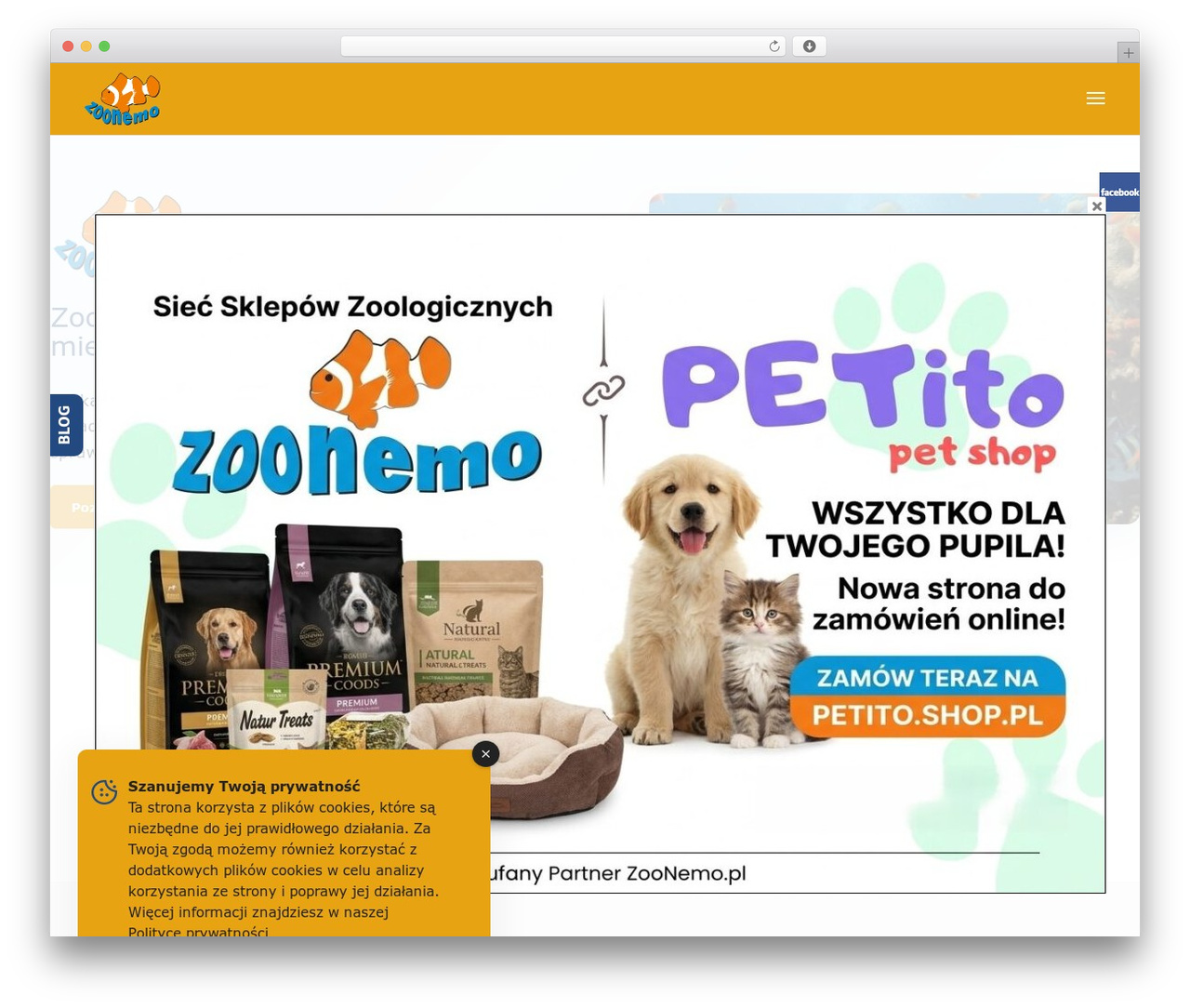 Divi premium WordPress theme - zoonemo.pl Divi premium WordPress theme - zoonemo.pl