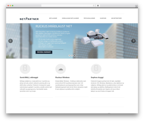 Goodwork WordPress theme - netpartner.is