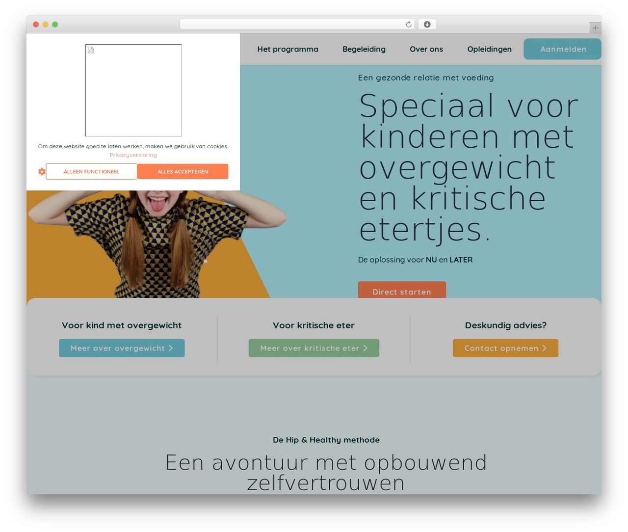 Hello Elementor theme WordPress - hipandhealthy.net