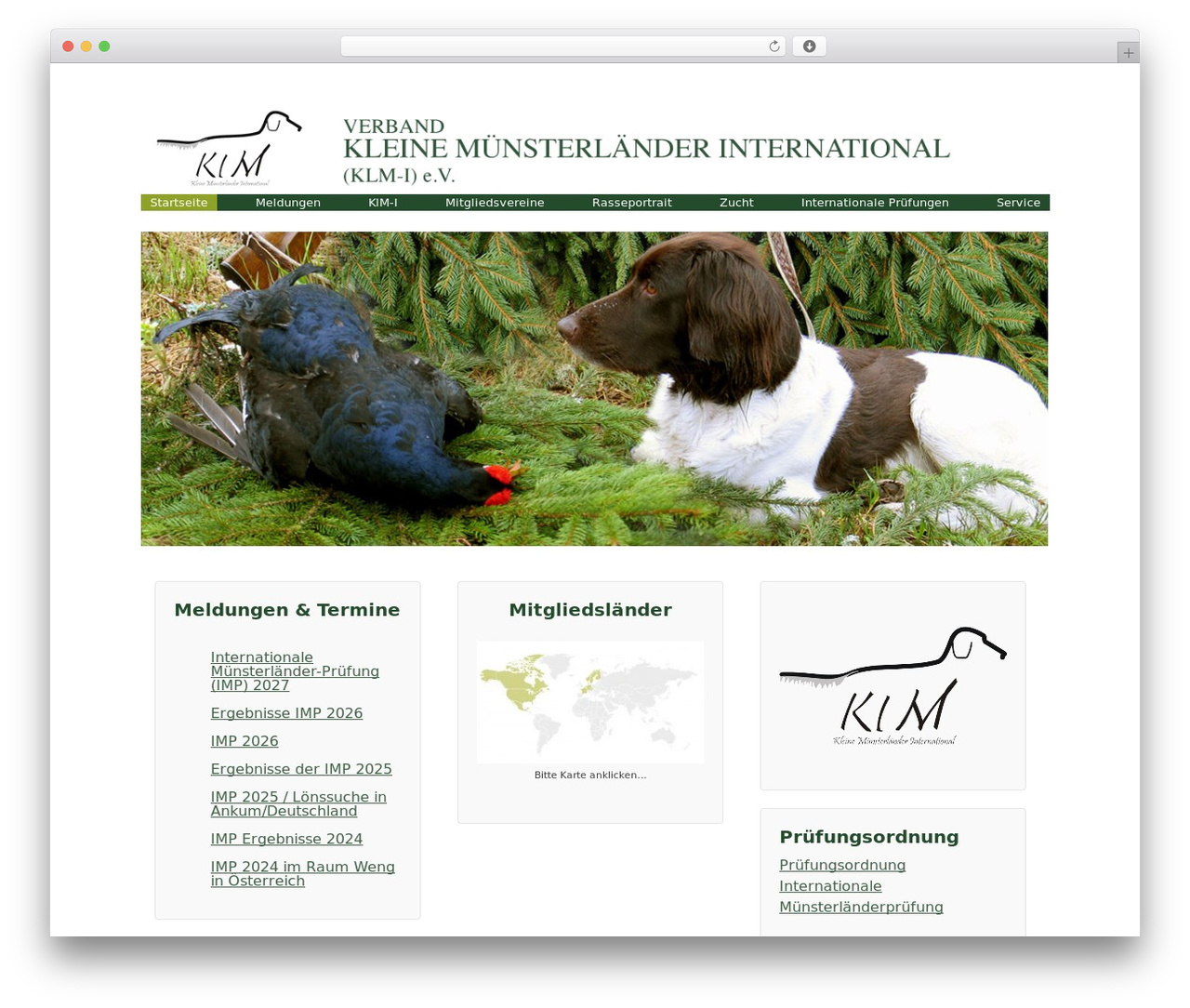 KlM theme WordPress - klm-international.info