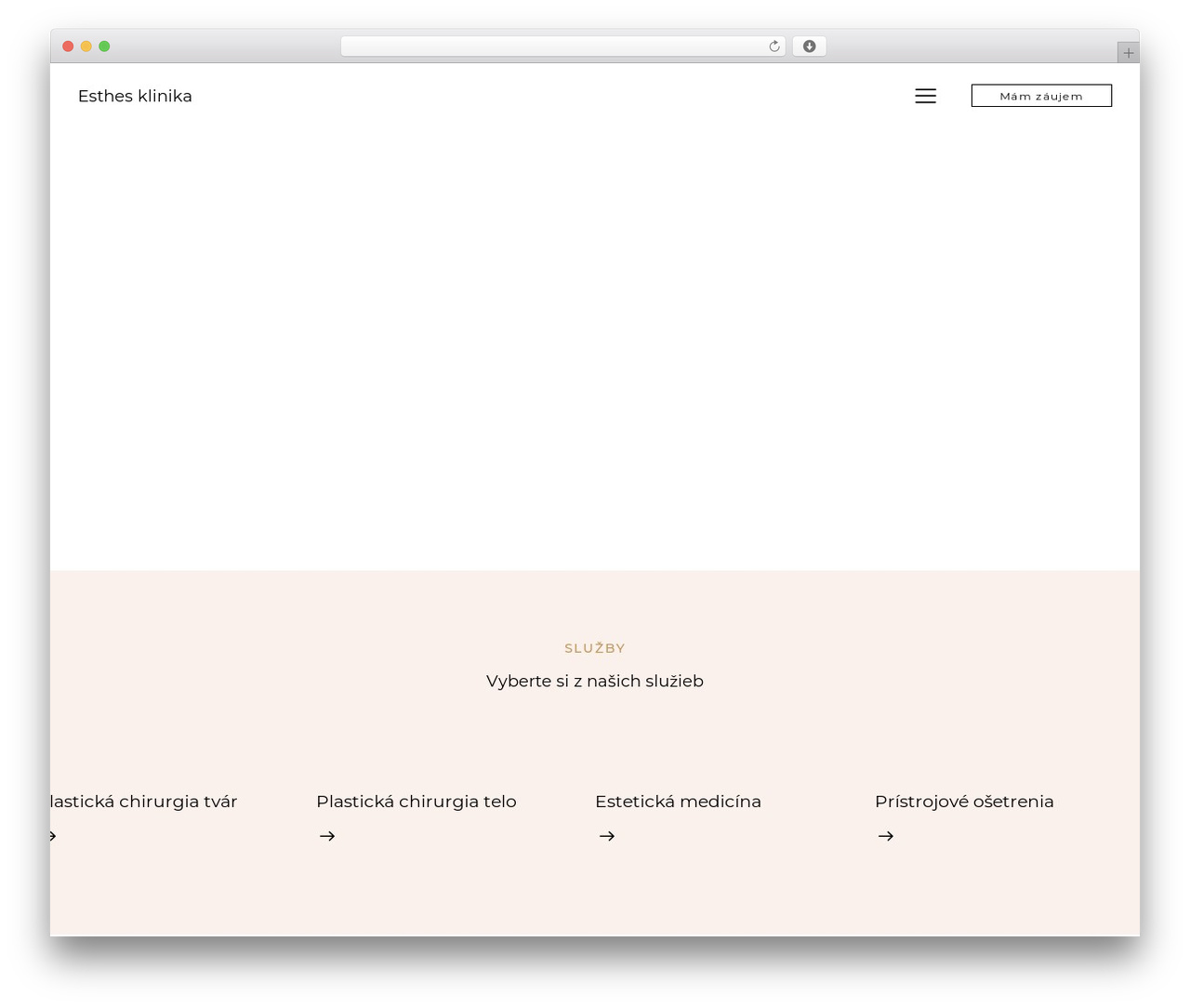 Plastica WordPress theme - esthes.sk Plastica WordPress theme - esthes.sk