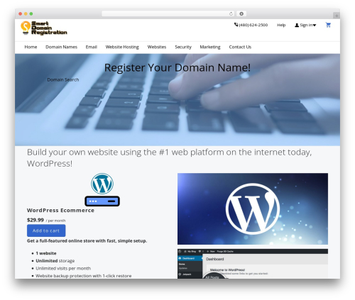 Primer theme WordPress - smartdomainregistration.com