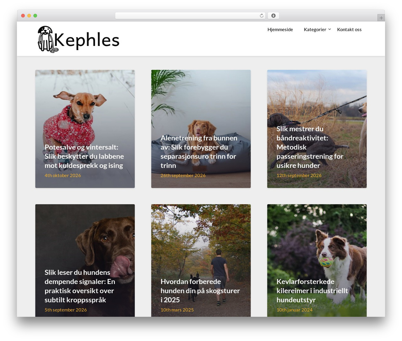 Theme WordPress ImageGridly - kephles.com
