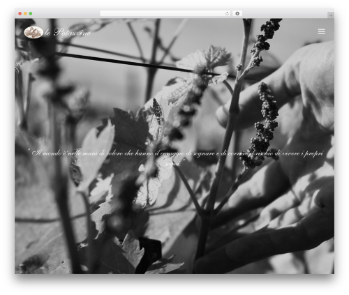 TopPic WordPress theme - lepotazzine.com