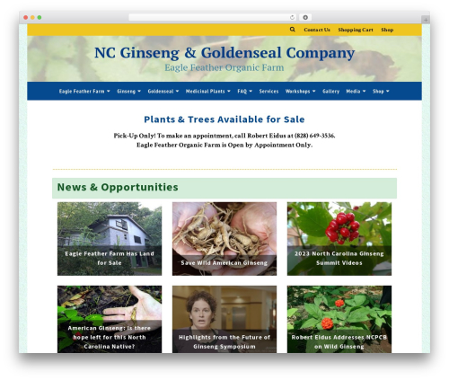 Wp shortcode pro WordPress plugin - ncgoldenseal.com