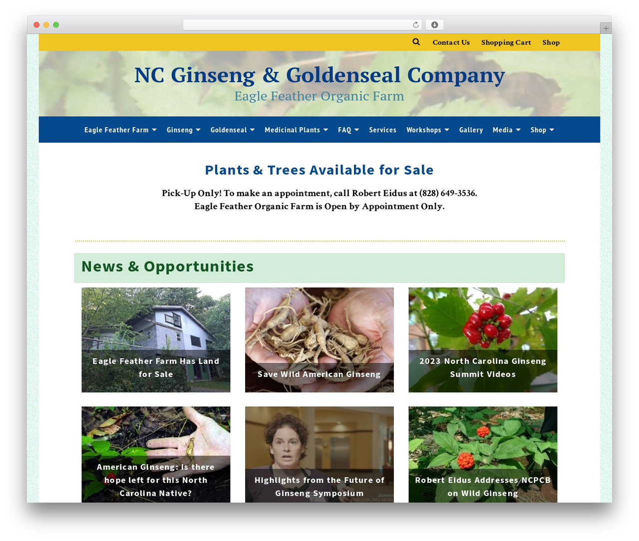 WordPress theme Ascend - ncgoldenseal.com