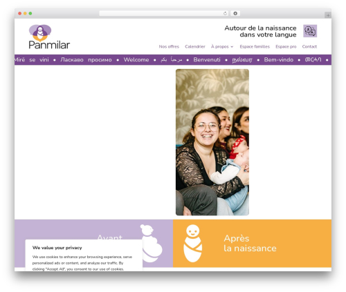 Divi mobile WordPress plugin - panmilar.ch