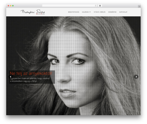 4divi masonry gallery WordPress plugin - boszifoto.hu