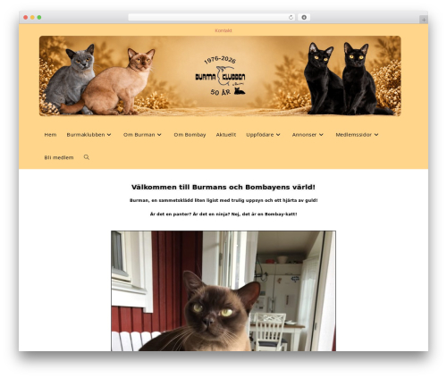 Multiline files upload for contact form 7 (multiline-files-for-contact-form-7) free WordPress plugin - burmaklubben.com