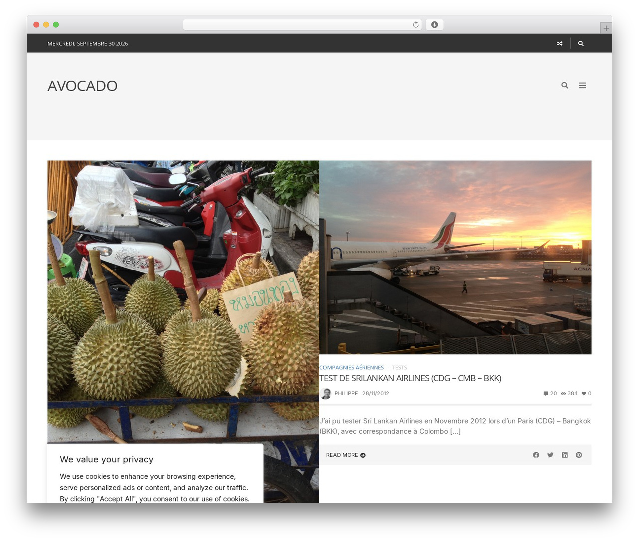 WordPress theme Sprout - avocado.fr WordPress theme Sprout - avocado.fr