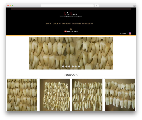Themesky WordPress plugin - bforbones.com