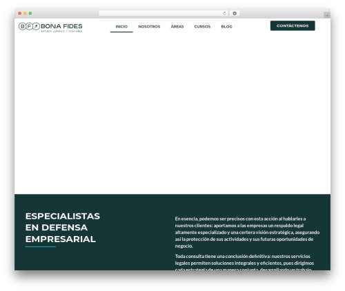 Team member addon elementor WordPress plugin - estudiobonafides.com