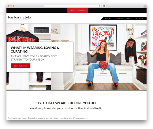 Launch It Theme WordPress theme - barbaraaleks.com