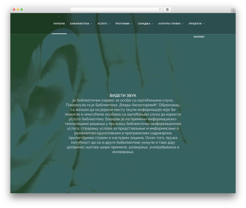 Mobius WordPress theme - videtizvuk.com