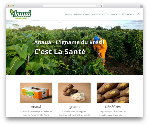 Simple Author Box (simple-author-box) free WordPress plugin - anaua.net