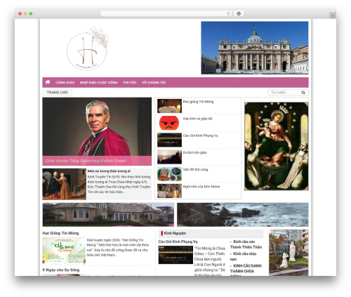DEV Wordpress premium WordPress theme - hiepthong.net